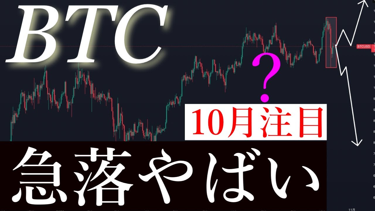 1762066232_maxresdefault-4949190-6309246-jpg