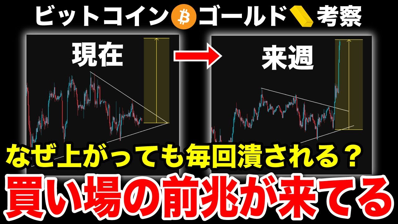 1767666623_maxresdefault-8024087-2404631-jpg