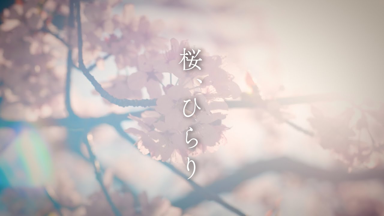 1767897408_maxresdefault-3432817-9106227-jpg