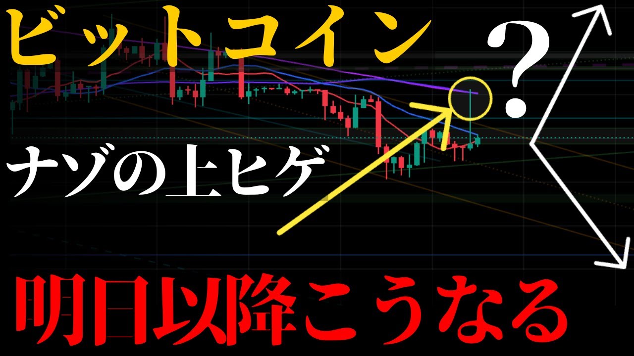 1768157215_maxresdefault-4554094-2148917-jpg