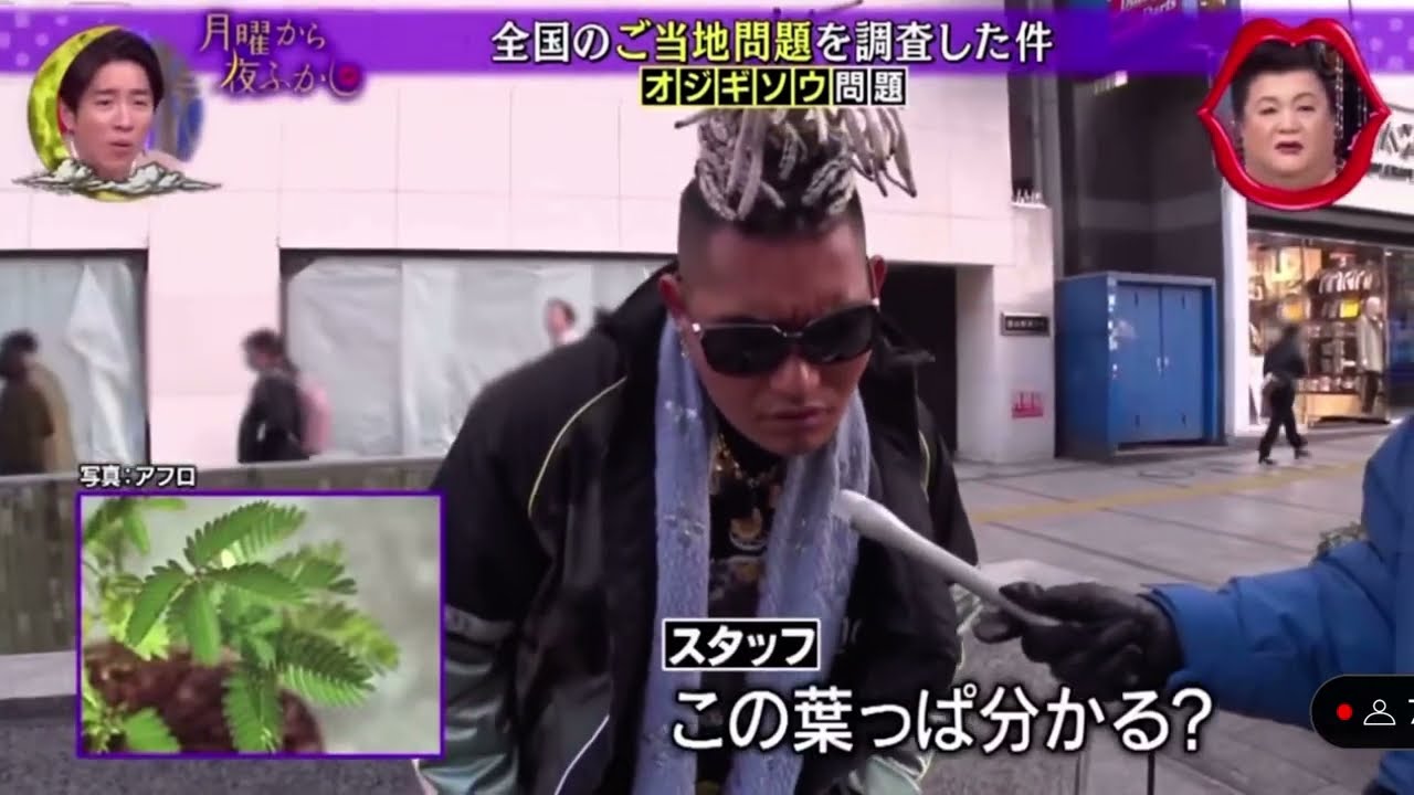 1768561155_maxresdefault-5807720-9132472-jpg