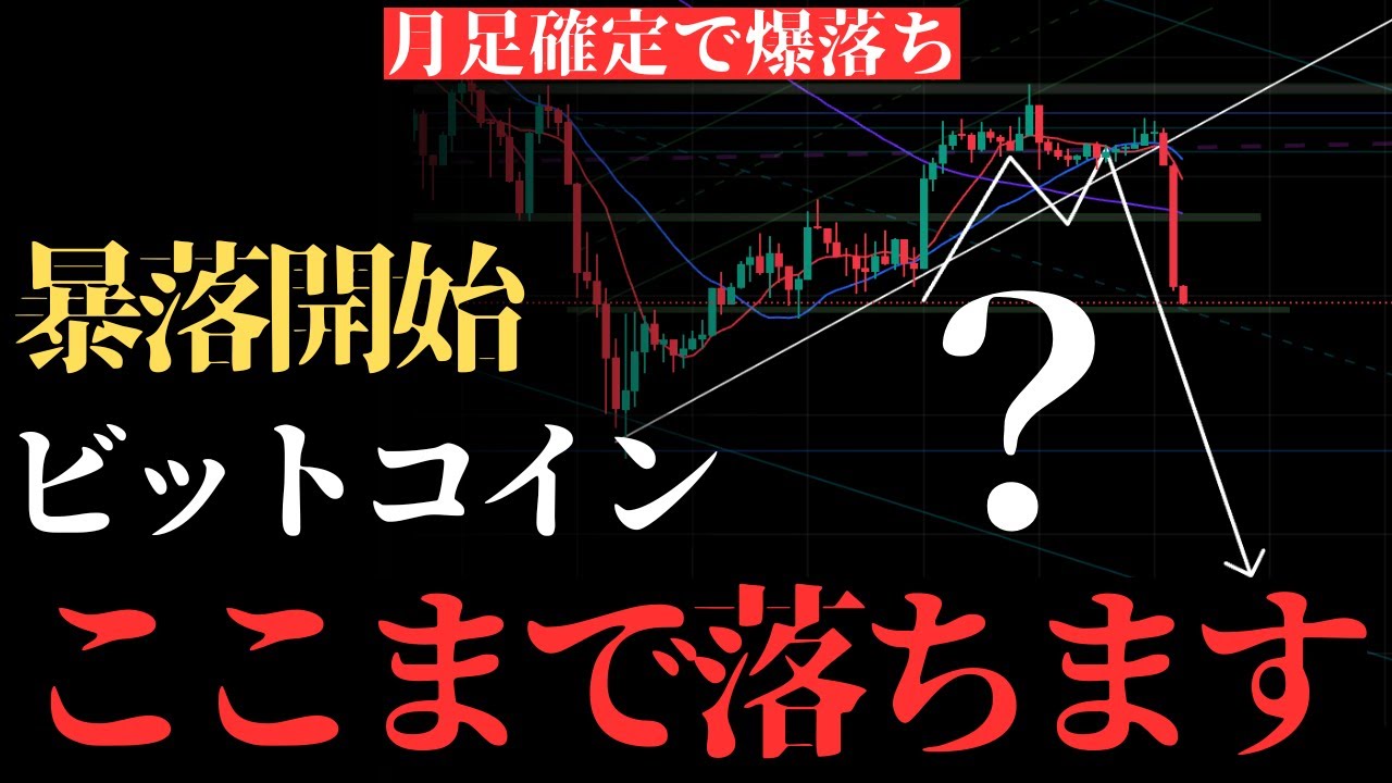 1770177716_maxresdefault-2548624-1486774-jpg