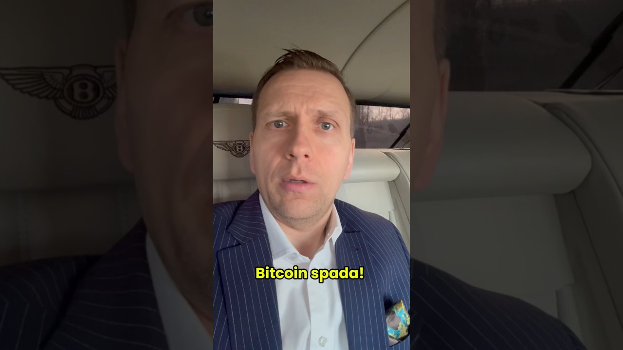 1771880810_maxresdefault-5943173-3639199-jpg