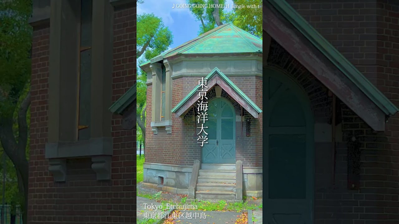 1772342697_maxresdefault-4679098-3769239-jpg