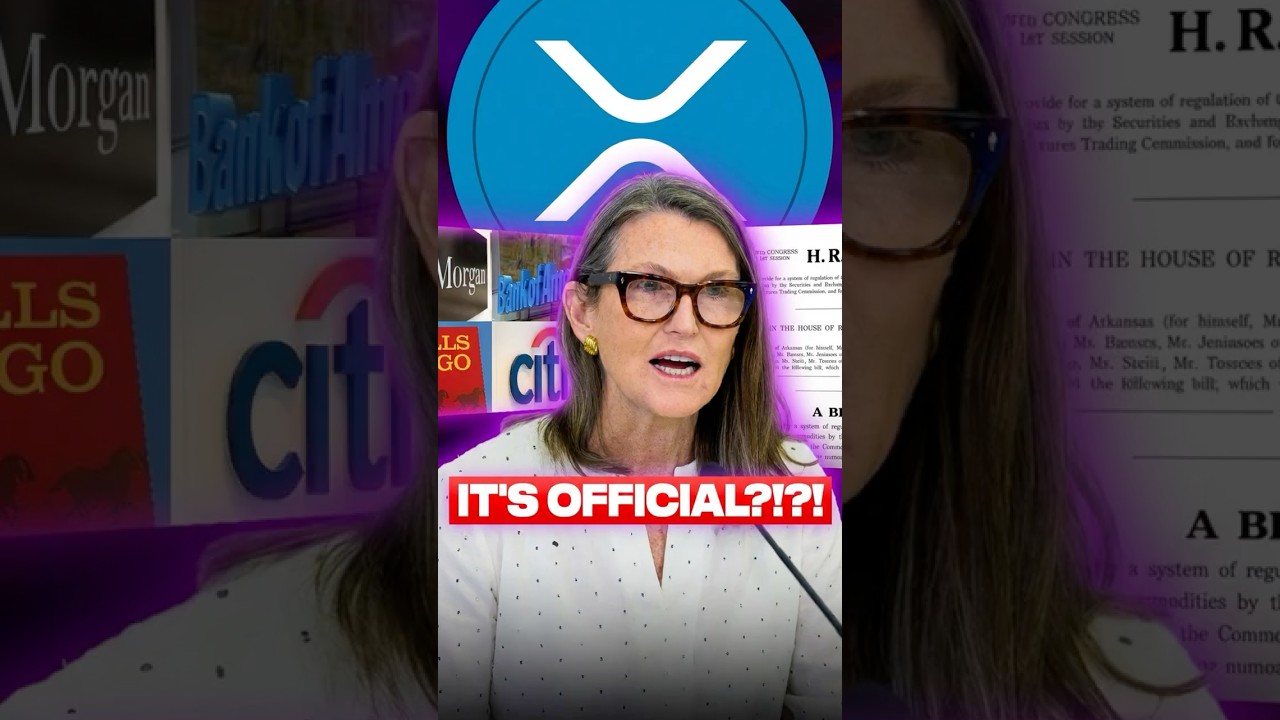 1772544838_maxresdefault-2275807-3208170-jpg