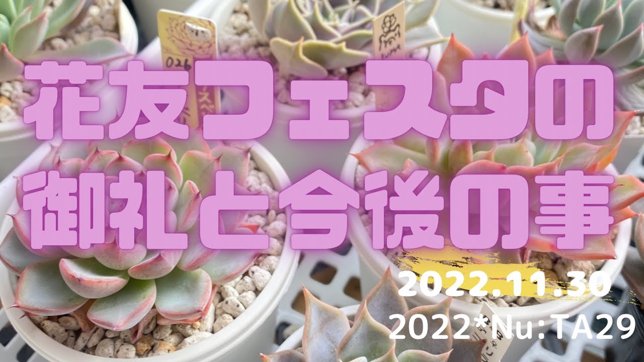 1775690536_maxresdefault-7693915-5763442-jpg